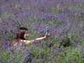 A Lavender-scented Selfie by Czech Conroy sRGB