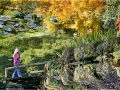 AUTUMN IN SHEFFIELD PARK by Geoff Lewis