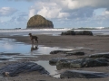 Dog on Beach by Betty Deshmukh LRPS