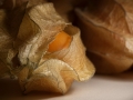 Forbidden Fruit by Paul Whitmarsh