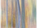 Impressions of trees by Betty Deshmukh LRPS