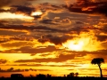 Mara sunset by Cheryl Morris