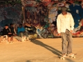 Sunshine and skateboards by Lou Humphreys