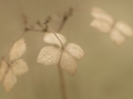 Threes and Fours by Paul Whitmarsh