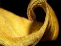 Turning Leaf by Paul Whitmarsh