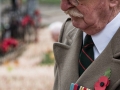 War Veteran in the Field of Remembrance, Westminster Abbey by David Pollard ARPS (20)_