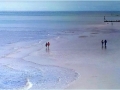 Watercolour by Madeleine Lehane