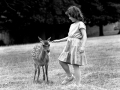 making-friends-by-horst-ms