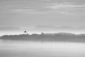 Brian-Davies_Flying-Into-The-Fjord