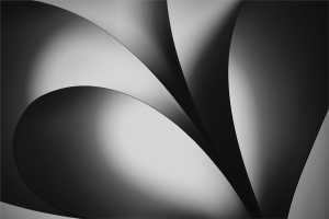 Curves-by-Paul-Whitmarsh