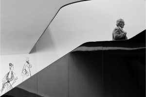 Going-up-by-Vera-Stevens