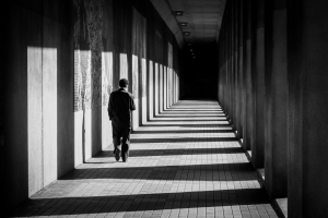 Light-And-Shadows-by-Vera-Stevens