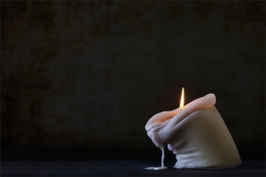 Paul-Whitmarsh_The-Struggles-of-Life