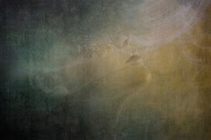 Vera-Stevens_Awakening