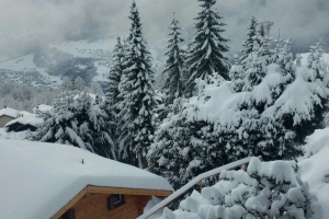 Winter-Cabin-by-Leila-Andrews