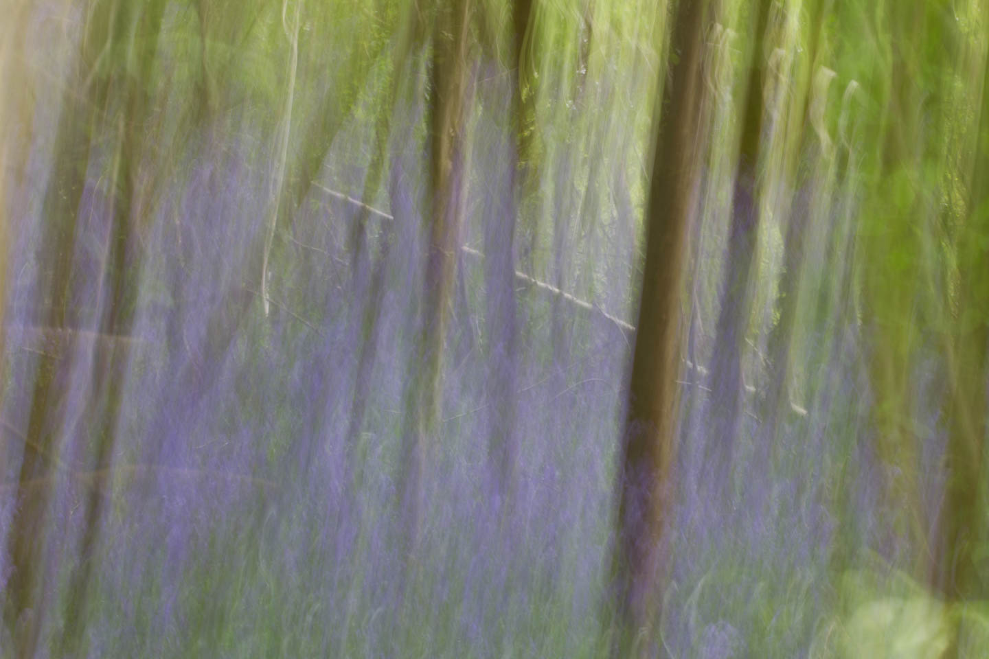 Movement